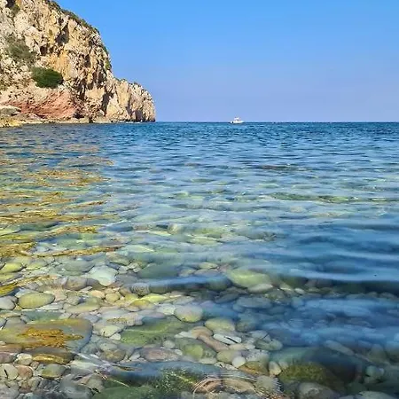 Cocciu D'amuri Appartamento Terrasini