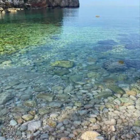 Cocciu D'amuri *