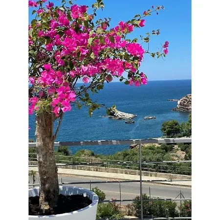 Cocciu D'amuri Terrasini